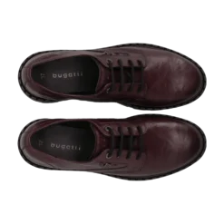 Schnürer bordo