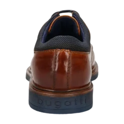 Schnürer cognac